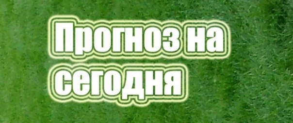 Прогнозы с платных сайтов (02.04.2017) Прогнозы с платных сайтов (02.04.2017)
